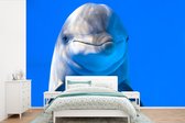 Behang - Fotobehang Dolfijn in een aquarium - Breedte 525 cm x hoogte 350 cm