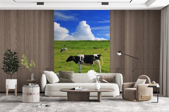 Veaux Zwart et blancs paissant dans la prairie 155x240 cm