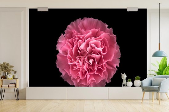 Papier peint photo peint photo vinyle - Oeillet rose sur fond noir largeur 360 cm x hauteur 240 cm - Tirage photo sur papier peint (disponible en 7 tailles)