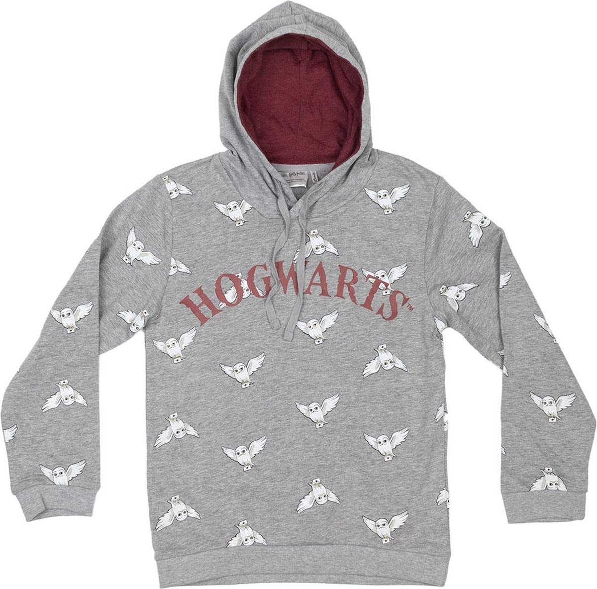 Harry Potter - Hogwarts School Crop Hoodie Dames Grijs