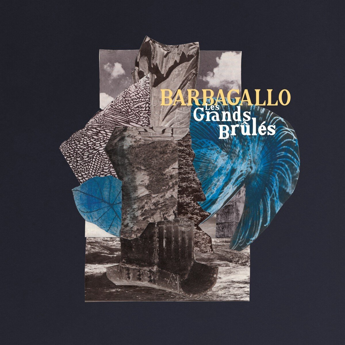 Julien Barbagallo - Les Grands Brûlés / Tarabust (LP)