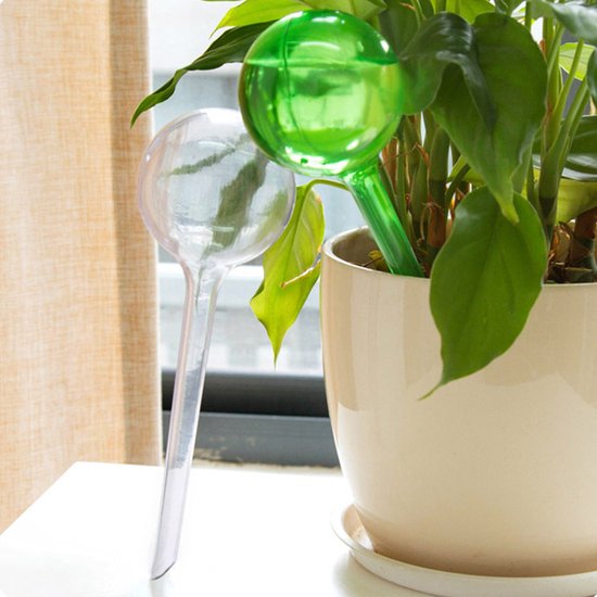 Globes d'arrosage automatique pour plantes d'intérieur ampoules d