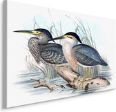 Schilderij - 2 Vogels in het water, Print op Canvas, Premium Print
