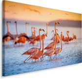 Schilderij - Flamingo's, Roze en blauw, premium Print