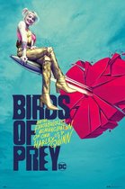 Grupo Erik Birds of Prey Broken Heart  Poster - 61x91,5cm