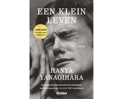 klein leven (ebook), Hanya Yanagihara | 9789046820322 | Boeken |