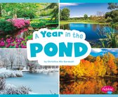 Season to Season - A Year in the Pond