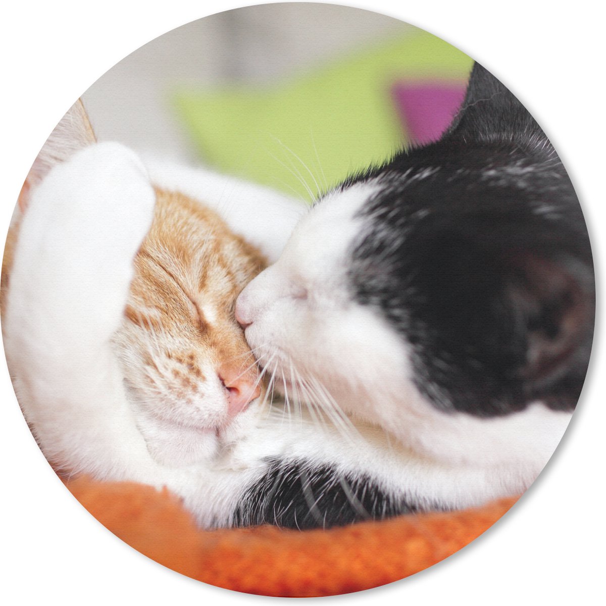 Muismat rond 50x50 cm - Mousepad Katten - Knuffel - Dierendag - Ronde muismatten