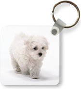 Sleutelhanger - Uitdeelcadeautjes - Schattige kleine Maltezer hond - Plastic