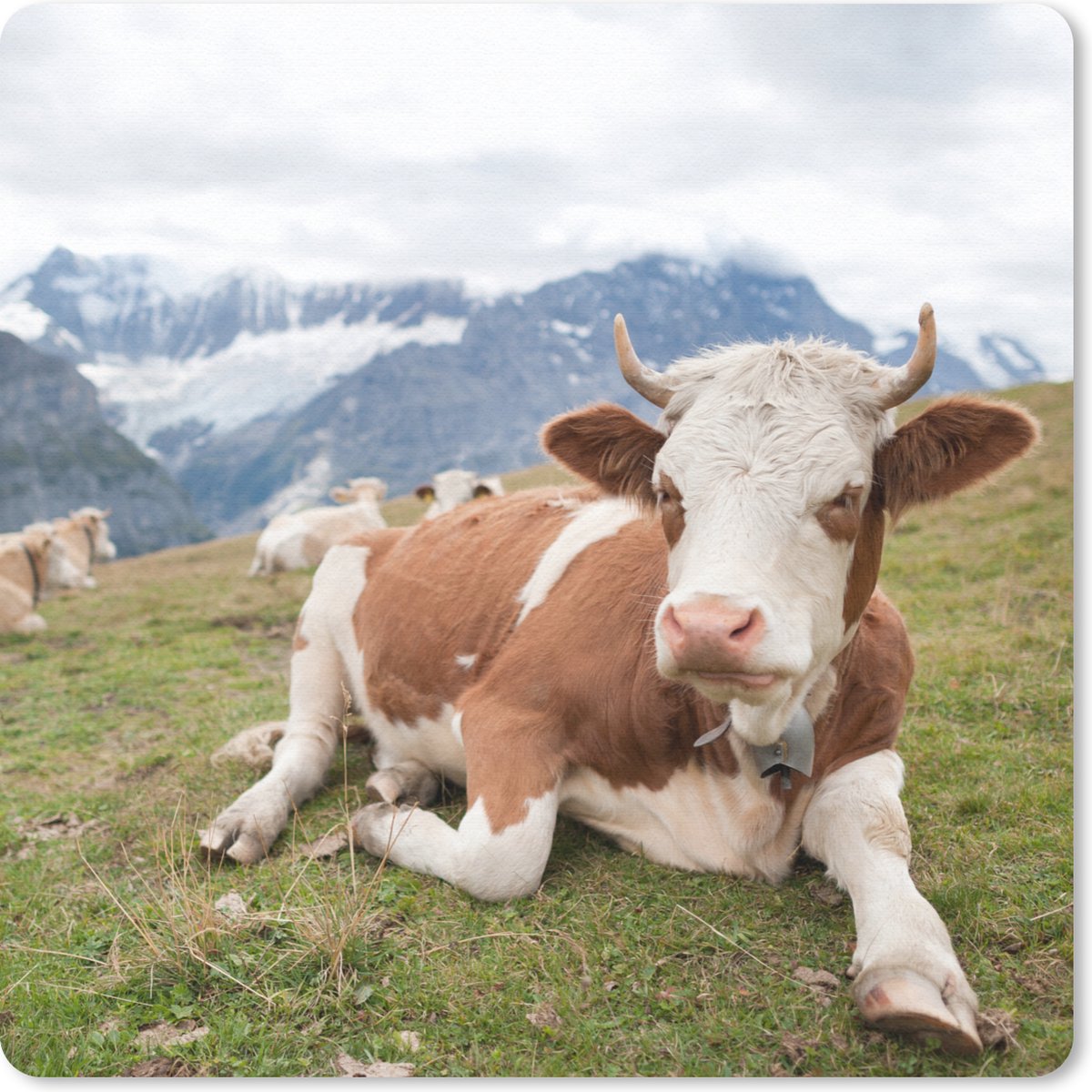 Muismat 20x20 cm - Mousepad Koeien - Weide - Alpen - Muismatten