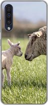 Geschikt voor Samsung Galaxy A50 hoesje - Schaap - Gras - Lam - Siliconen Telefoonhoesje