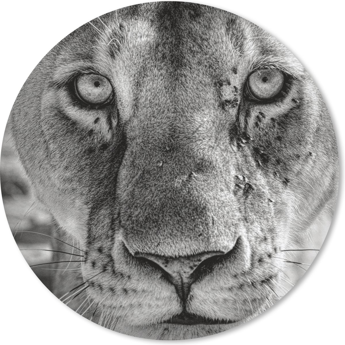 Muismat rond 40x40 cm - Mousepad Dierenprofiel leeuwin in zwart-wit - Ronde muismatten