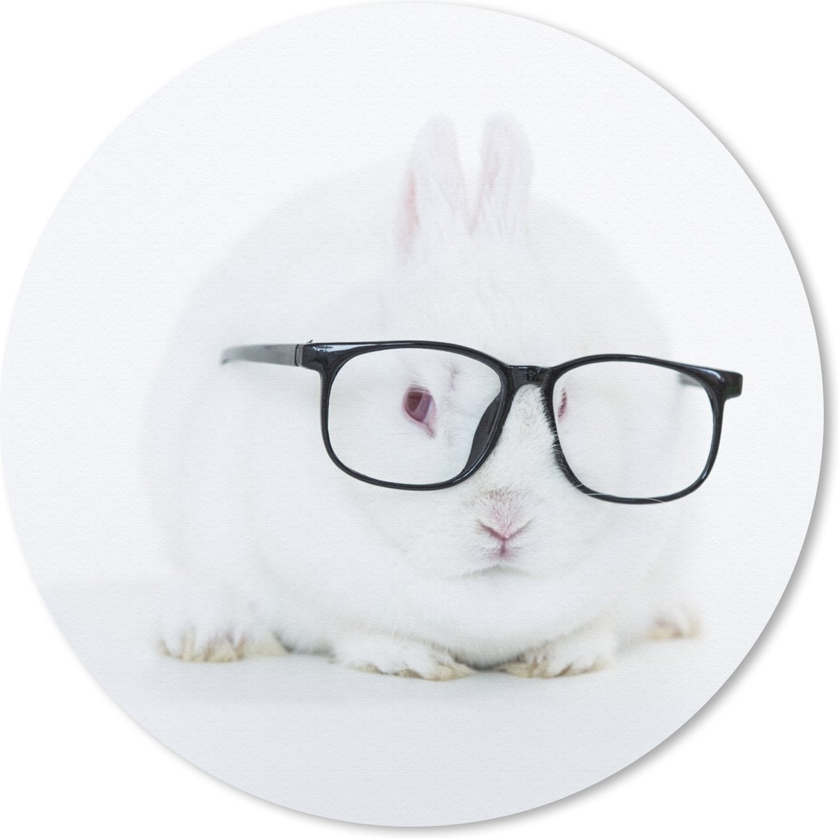 Muismat rond 50x50 cm - Mousepad Konijn - Bril - Hipster - Ronde muismatten