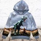 Grijze hoodie met dino h150 -s&C-134/140-Hoodie jongens