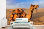 Behang - Fotobehang Dromedaris kameel in zandduinen - Breedte 360 cm x hoogte 240 cm