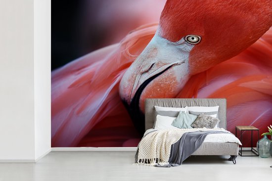 Papier peint photo peint vinyle - Gros plan d'un flamant rose largeur 330 cm x hauteur 220 cm - Tirage photo sur papier peint (disponible en 7 tailles)