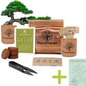 Bonsai Starters Kit Inclusief Gratis E-book - Bonsai Boompje - Kamerplanten - 4 Soorten Boomzaden - Origineel Cadeau
