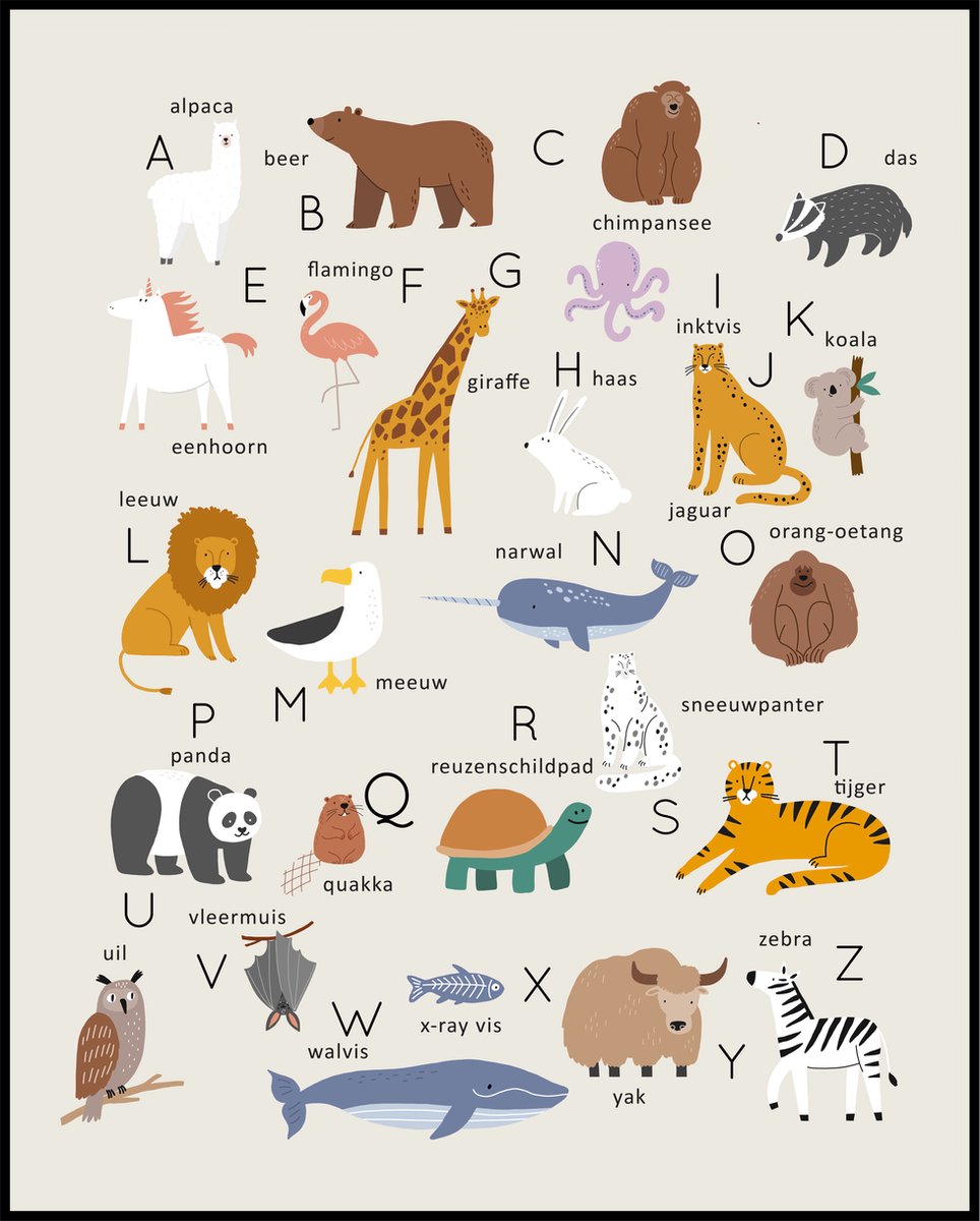 Esque Poster Dierenalfabet - Wanddecoratie Alfabet - Dieren Kinderkamer Unisex - Educatief - 40x50 cm Losse poster klein