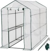 Fixeld® Kweekkas Transparant - Greenhouse - Kas - Kweken - Hobbykweker - Groenten & Fruit - 186x120x190 cm - Stalen Structuur