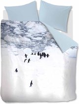 Zachte Dekbedovertrek Eenpersoons Pinguins | 140x200/220 | Soepel En Kleurecht | Strijkvrij