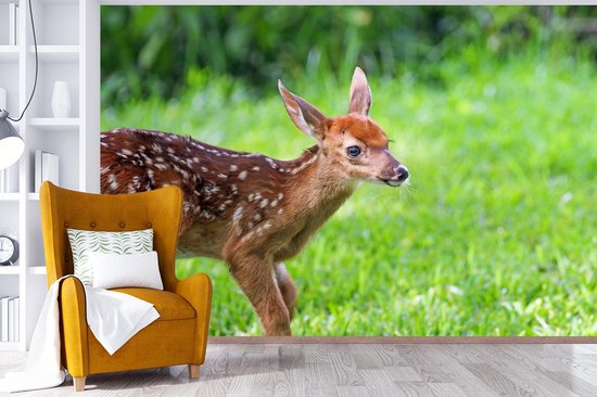 Papier peint photo peint vinyle - Jeune cerf traverse l'herbe largeur 450 cm x hauteur 300 cm - Tirage photo sur papier peint (disponible en 7 tailles)