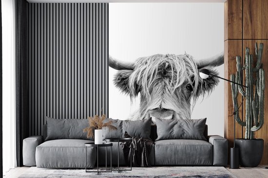 Papier peint - Papier peint photo Vache - Highlander écossais - Zwart - Wit - Largeur 190 cm x hauteur 260 cm