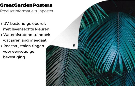 Affiche clôture Jungle - Palmier - Vert - Blauw - 200x100 cm - Toile de jardin