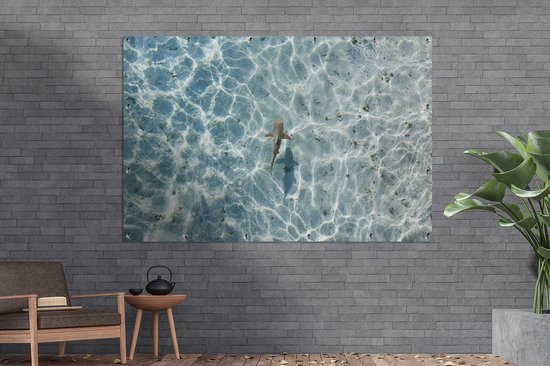 Décoration murale Requin en eau peu profonde - 180x120 cm - Poster de jardin