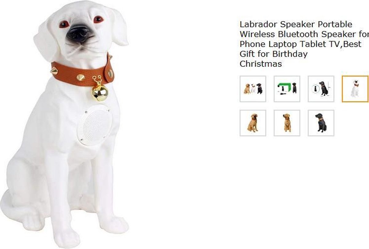 Haut-parleur numérique Bluetooth chien - Décoration - Boîte - Labrador -  Tondeuse -... | bol