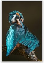 Wanddecoratie - Foto op Aluminium - Foto op Dibond - Aluminium Schilderij - Ijsvogel op tak 2 - Casper de Jager - 40x60 cm