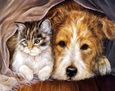 Diamond Painting Pakket - Hond en Kat - 40x30 cm - Complete Set - Volledige Bedekking - Ronde Steentjes