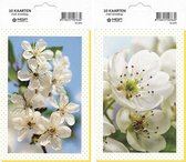 MGPcards - 10x double carte de vœux avec enveloppe - Fleurs Blanco - 11,5 x 17 cm