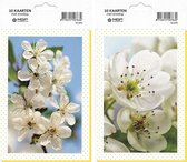 MGPcards - 10x dubbele wenskaart met envelop - Blanco Bloemen - 11,5 x 17 cm