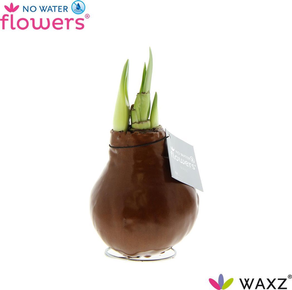 No Water Flowers® Waxz® Koper