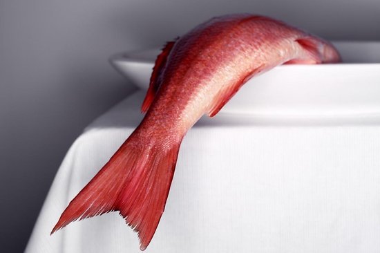 Redfish - Fotokunst op Plexiglas - Incl. blind ophangsysteem en 5 jaar garantie
