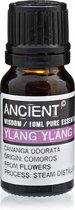 Etherische olie Ylang Ylang - 10ml - Essentiële Oliën Aromatherapie