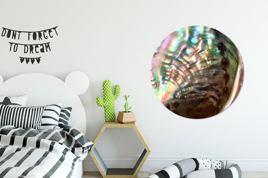 Cercle mural - Cercle mural - Coquille - Nacre - Bois - Aluminium - Dibond - ⌀ 90 cm - Intérieur et extérieur