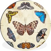 WallCircle - Wandcirkel - Muurcirkel - Botanische print vlinders - Aluminium - Dibond - ⌀ 30 cm - Binnen en Buiten