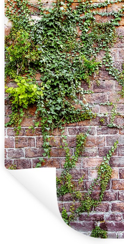 Muurstickers - Sticker Folie - Klimplanten op een oude muur met bakstenen - 60x120 cm - Plakfolie - Muurstickers Kinderkamer - Zelfklevend Behang - Zelfklevend behangpapier - Stickerfolie