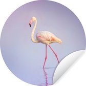 WallCircle - Stickers muraux - Cercle Papier Peint - Flamingo - Water - Rose - 120x120 cm - Cercle Mural - Auto Adhésif - Sticker Papier Peint Rond XXL