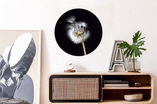 Cercle papier peint - Une fleur de pollen sur fond noir - 50x50 cm - Cercle mural - Autocollant - Sticker papier peint