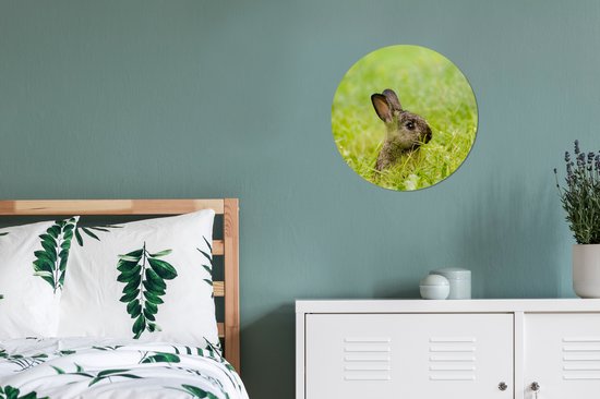 Wall Circle - Wall Circle Indoor - Lapin - Bébé - Herbe - 30x30 cm - Décoration murale - Peintures Ronds