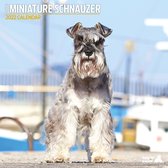 Miniature Schnauzer - Kalender 2022