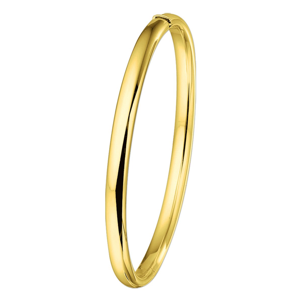 Bangle Scharnier Ovale Buis 5 X 60 Mm