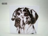 Wenskaart + Envelop Deense Dog