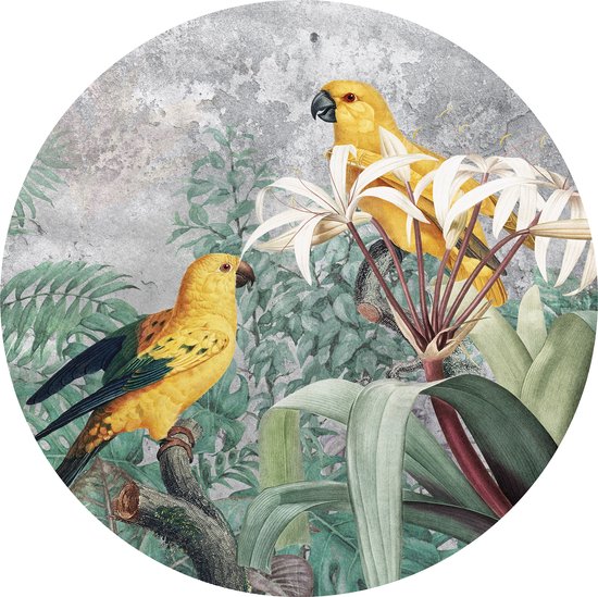 Tizato - Muurcirkel Jungle Papegaaien – Wandcirkel Vinyl op Vliesbehang – Ø 91 cm
