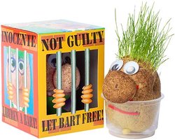 foto van Mr. Bart | Graspop | Graspoppetje | Grow your own gras | wie kent hem niet | Vensterbank | Graszaad | Cadeau |