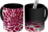 Magische Mok - Foto op Warmte Mok - Chrysant close-up - 350 ML