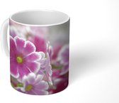 Mok - Close-up van roze primula's - 350 ML - Beker
