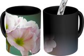 Magische Mok - Foto op Warmte Mok - Licht roze primula - 350 ML